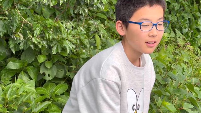 たくましさの記事動画