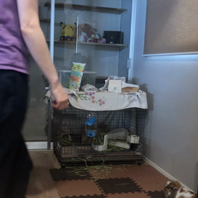 なんとなく撮った動画。の画像