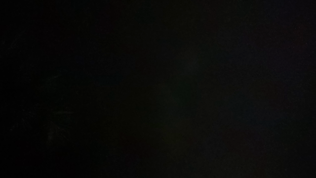 短い夏が、もうすぐそこまでの記事動画