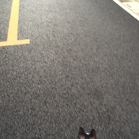 保育園 2015/8/19の画像