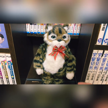 冷やしnoteはじめましたきなり。の記事動画