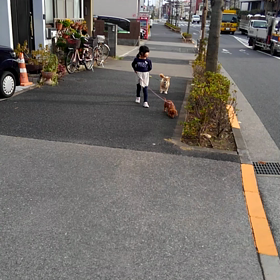 2016/12/22の画像