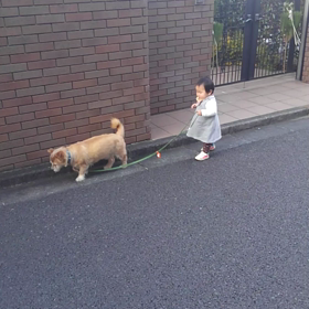 初の散歩の画像