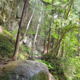 吉滝②の画像