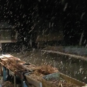 雪…の画像