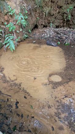 行方 愛宕神社と夜刀神社 王国の記事動画