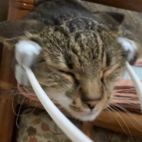 暑くなりましたねの画像