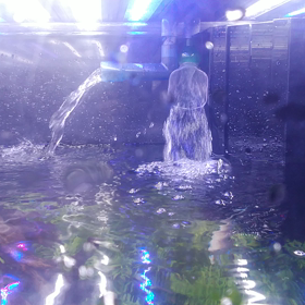 水流の画像