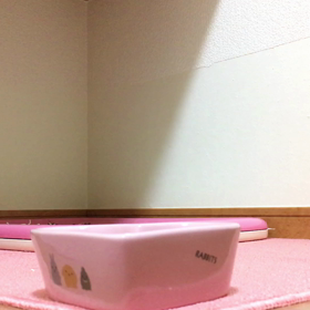 まつげ長めです。の画像