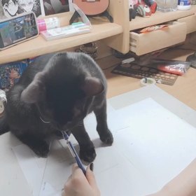 二女とゆきまる王子⚠️音出ます注意⚠️の画像
