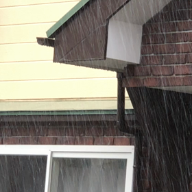 凄い雨...(´◉ω◉` ) ※雨音します音量注意！！の画像