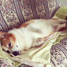 ヒロとおとんの休日の画像