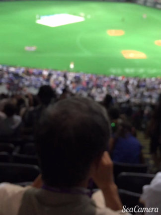 野球観戦⚾️の記事動画