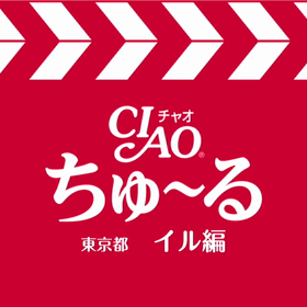 ⭐️チュール食べてないワンのチュール動画イルの画像