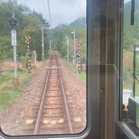 ただただ長い…の画像