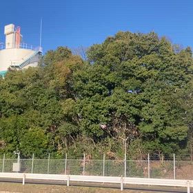 風が吹いてるの画像