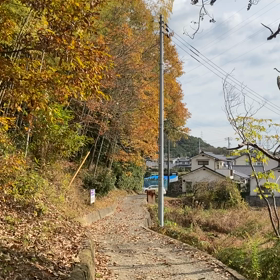 冬枯れの小径の画像