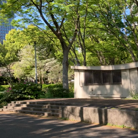 日比谷公園 : チューリップ　動画その1の画像