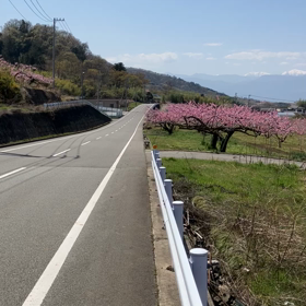 笛吹市　桃源郷　動画その９　福光園寺近く絶景ポイントの画像