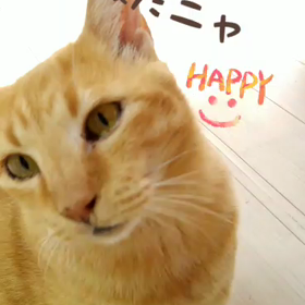 ほんの少しずつ秋の風…の画像