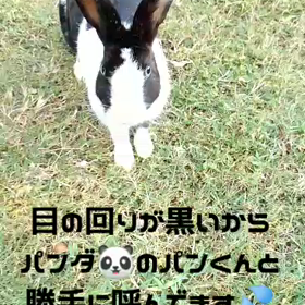 夏の様な暑さと急な雨の画像