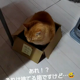 寒暖差があるこの頃ですが…の画像