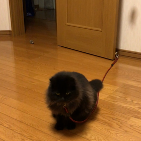 覚えたかなぁ(^^)の画像