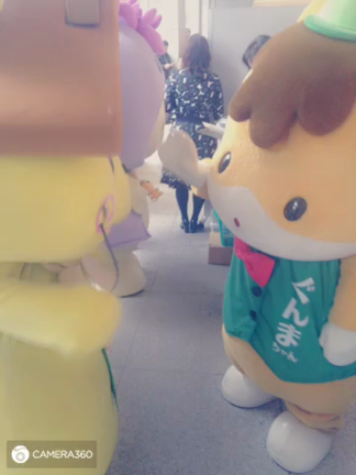 ぐんまちゃん誕生会裏側の記事動画