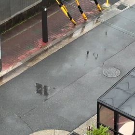 2026/04/10の画像
