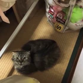 2024/07/24の画像