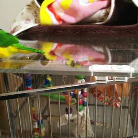 いつの間にか‼の画像