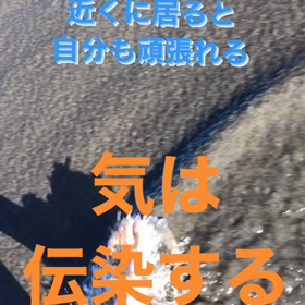 気は伝染するの画像