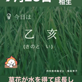 今日は乙亥の画像