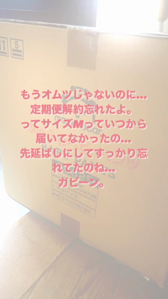 やってしまった。の記事動画