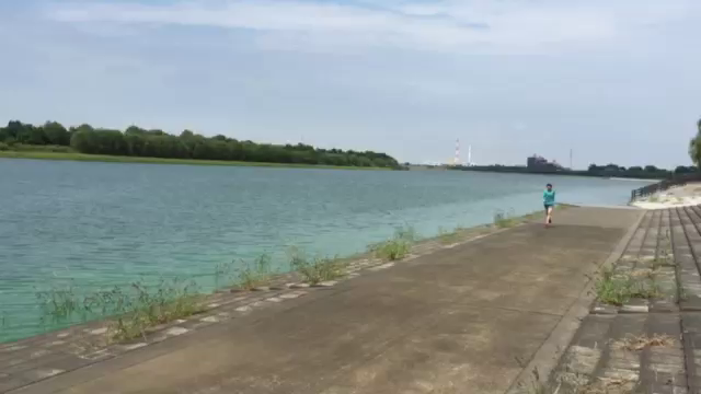 動画の記事動画