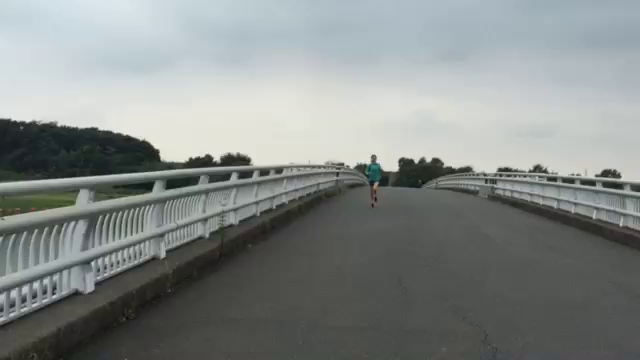動画の記事動画