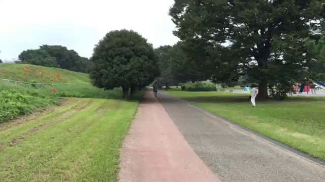 動画の記事動画
