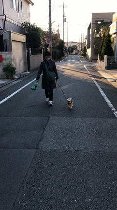 Happy New Year☆の記事動画