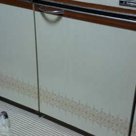 悪い仔です❗の画像