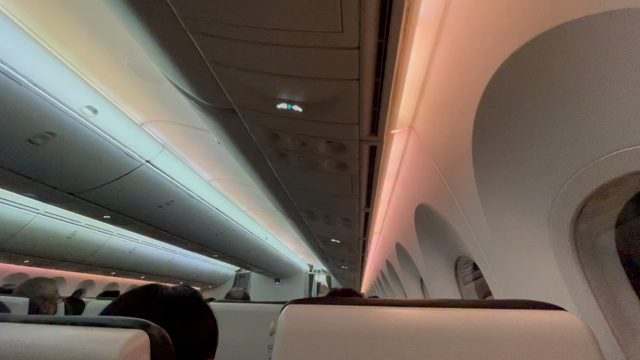フライト中に飛行機故障！の記事動画