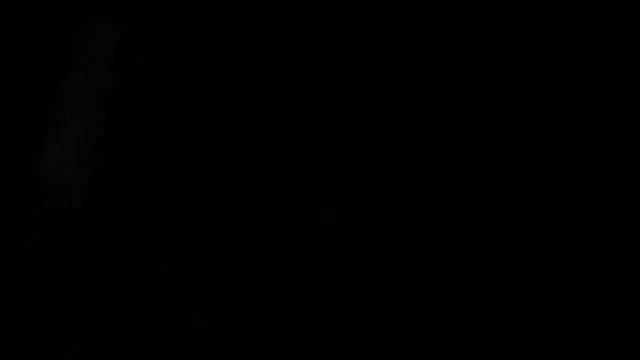 ホタルの幻想的な光の記事動画