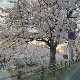 癒されて下さいの画像