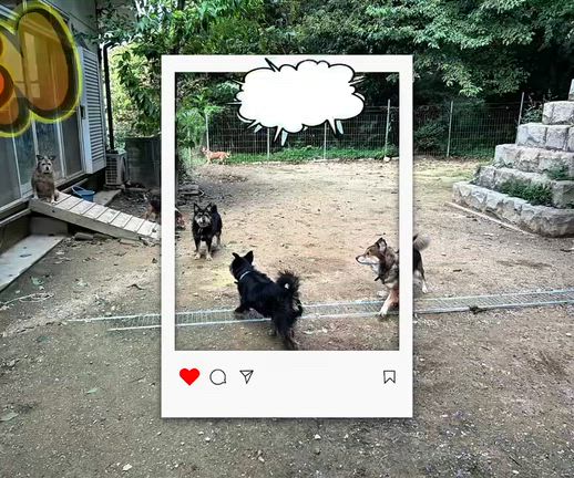 募集！！の記事動画