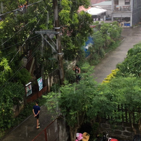 降ってきた。雨だ。の画像