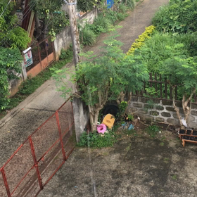 あ〜雨がの画像
