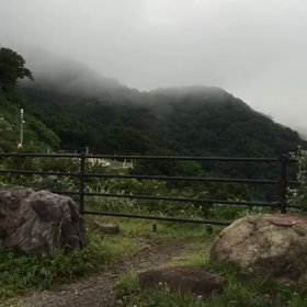ライオンキングon白雲台の画像