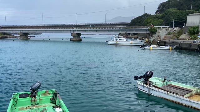 Explore Natureの記事動画