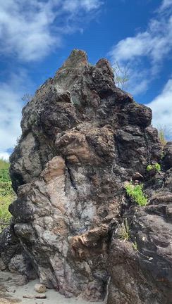 Explore Natureの記事動画
