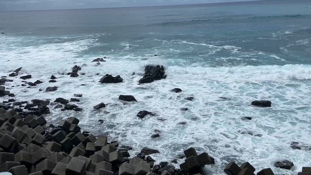 Explore Natureの記事動画