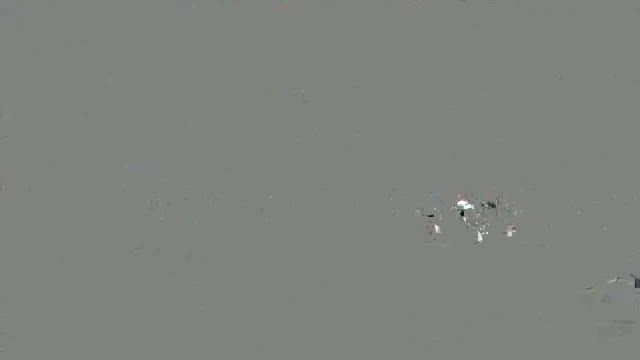 早朝からの記事動画